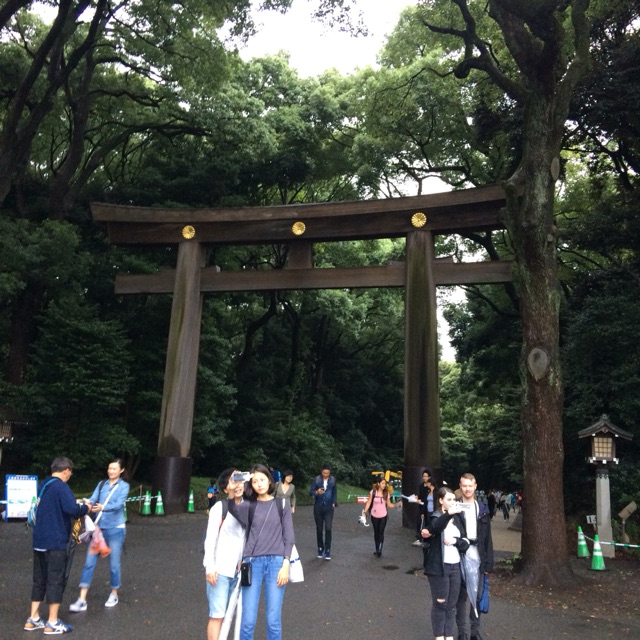 イメージ 6