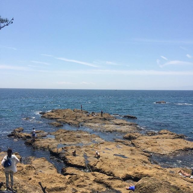 イメージ 8