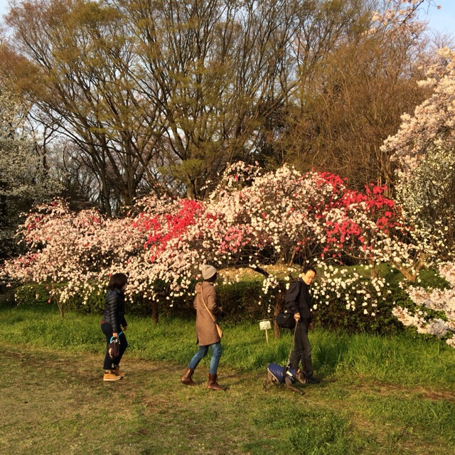 イメージ 6