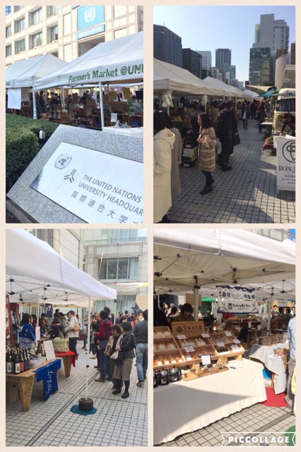 イメージ 9