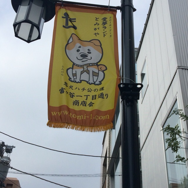 イメージ 4
