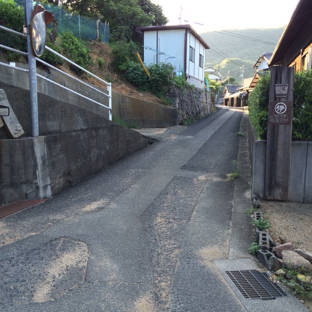 イメージ 8