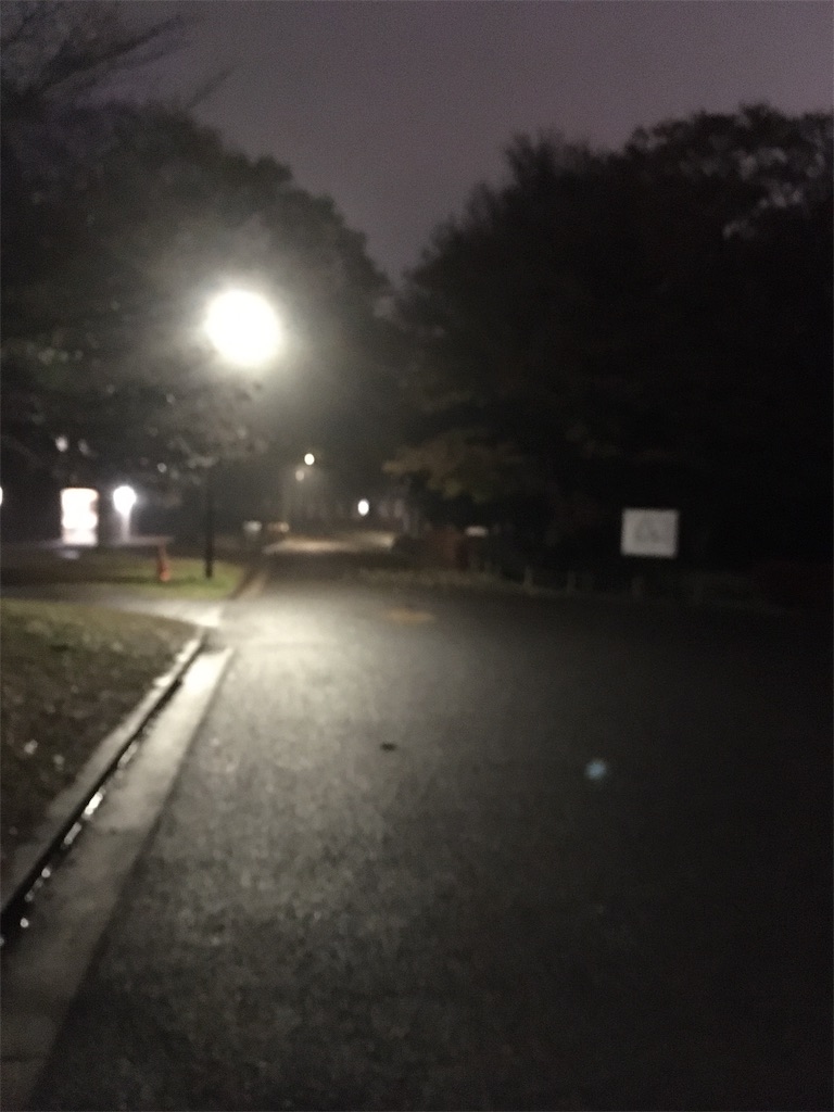 f:id:kus110:20191211214604j:plain