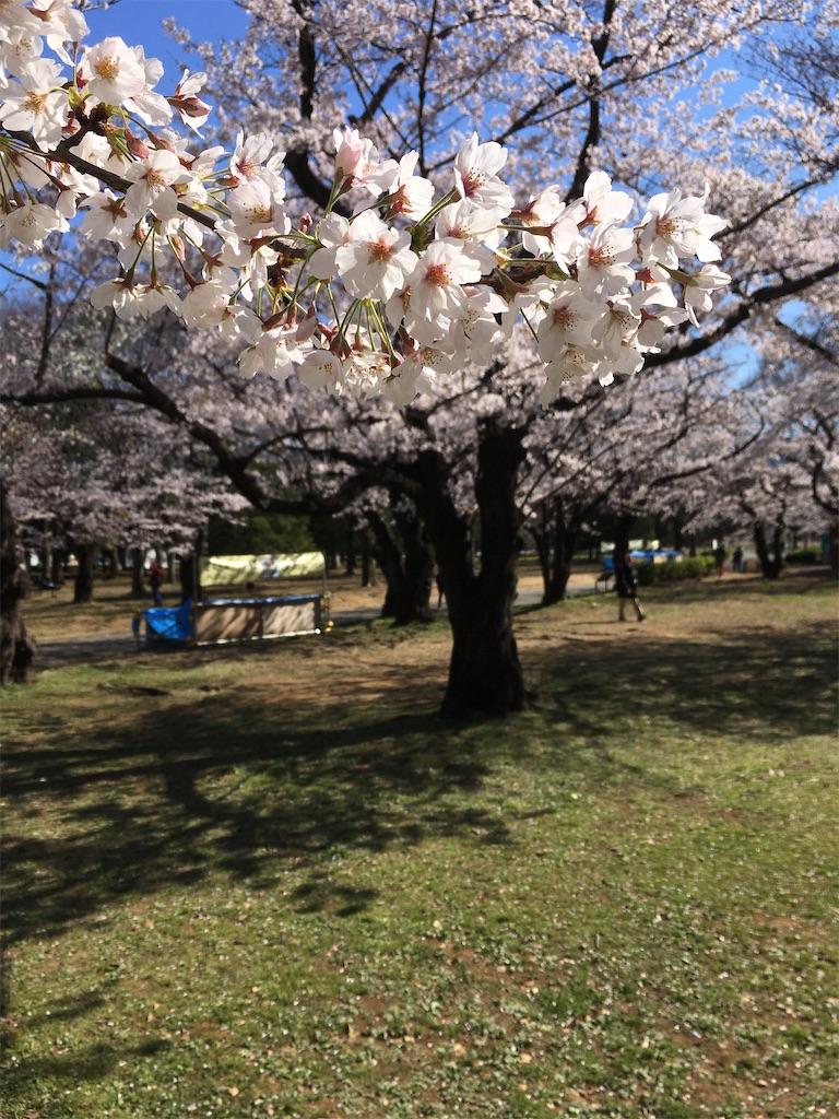 f:id:kus110:20200324222303j:image