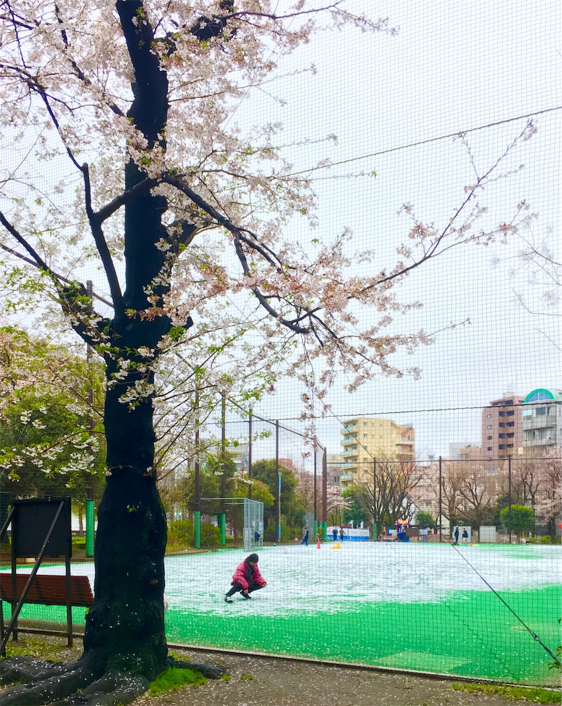 f:id:kus110:20200329200457j:image