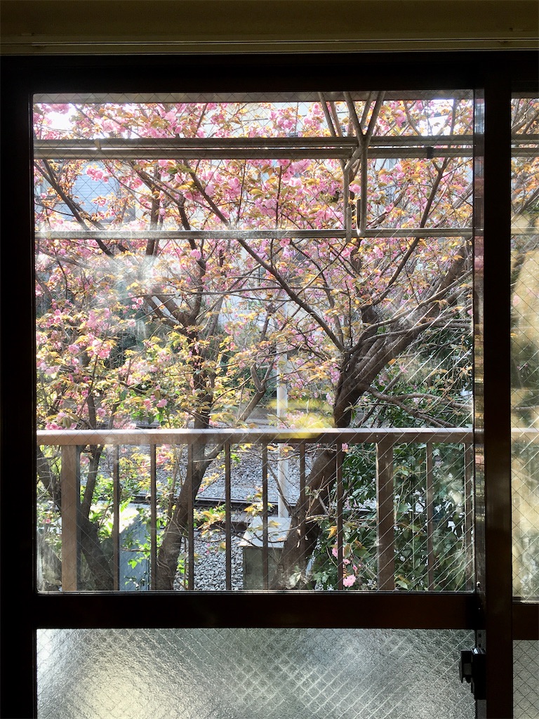 f:id:kus110:20200408201816j:image