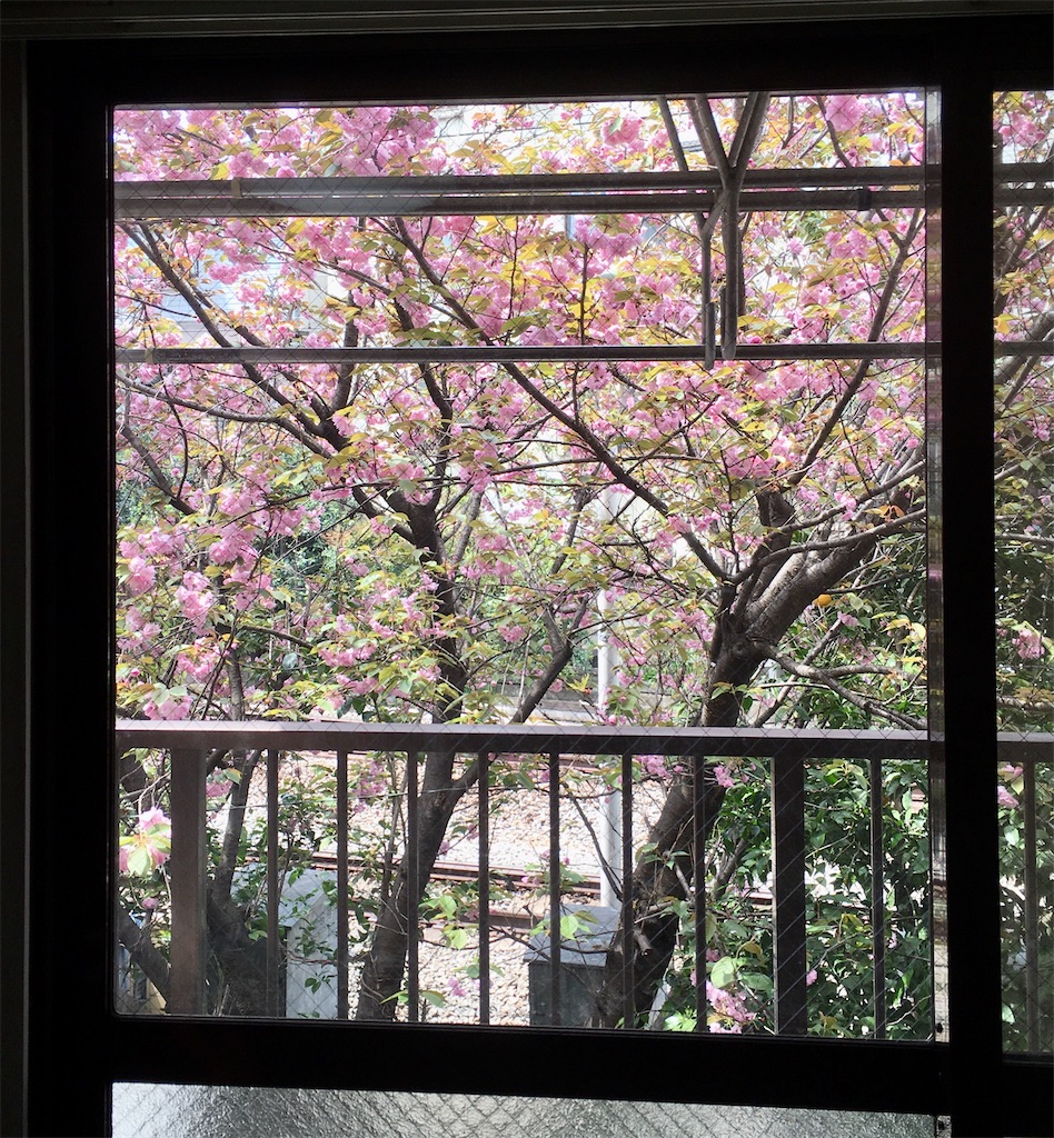 f:id:kus110:20200412122907j:image