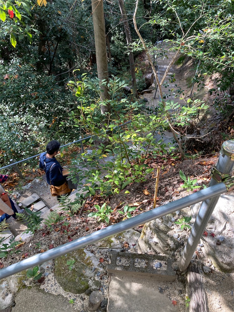 f:id:kus110:20201121221356j:image