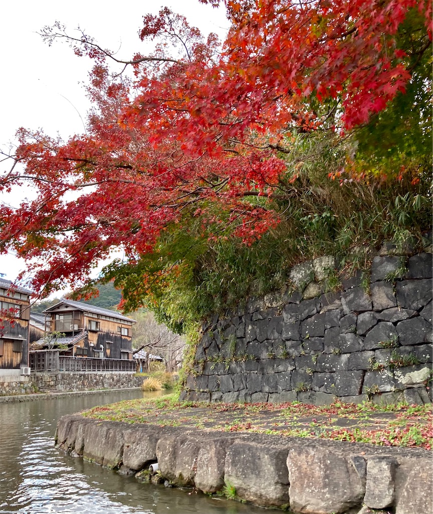 f:id:kus110:20201122211659j:image