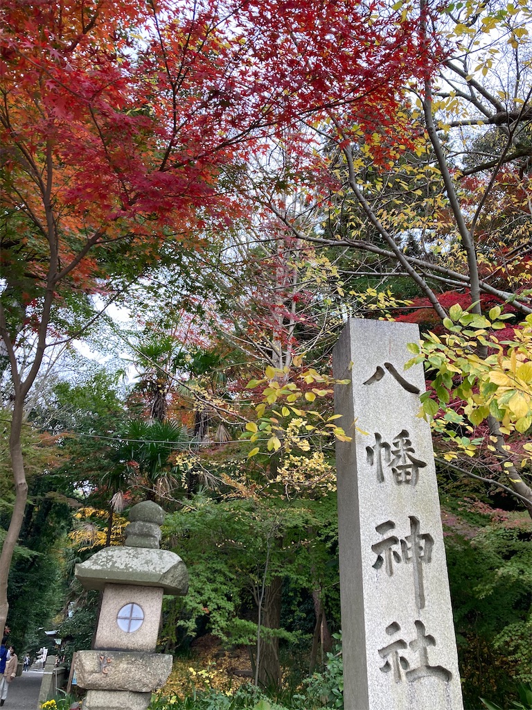 f:id:kus110:20201122211751j:image