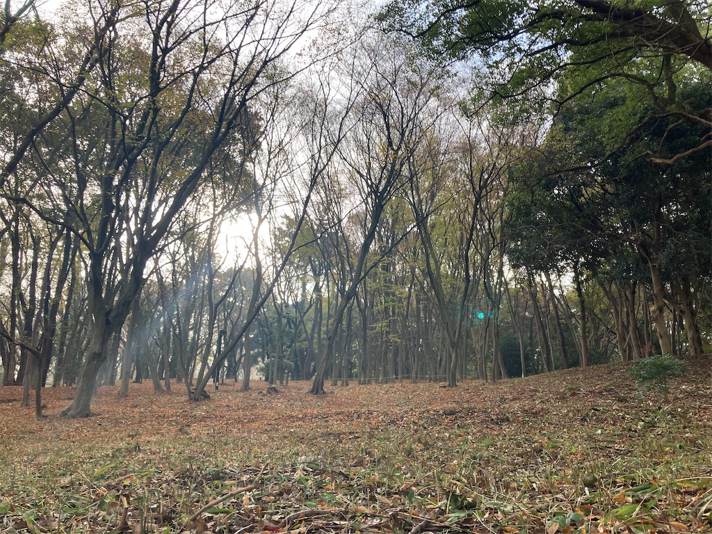 f:id:kus110:20201126210654j:image