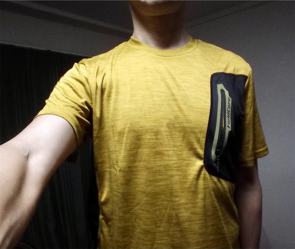 グッズ ワークマン クライミング半袖tシャツ Namban Nightで激しくテスト ブルゴーニュの走り書き