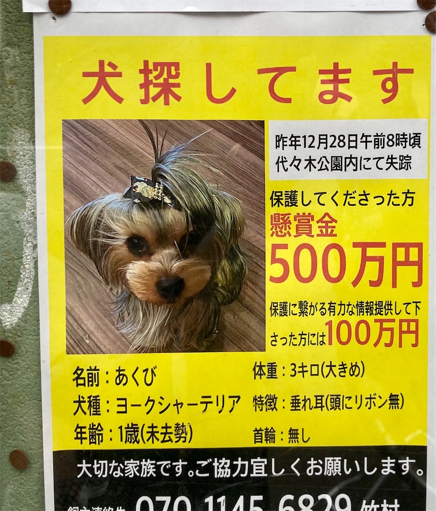 f:id:kus110:20220206191405j:image