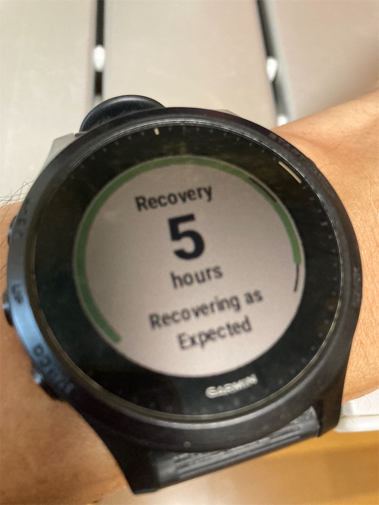 TrainingPeaks TSB とGarmin Recovery time のギャップが激しすぎる ブルゴーニュの走り書き