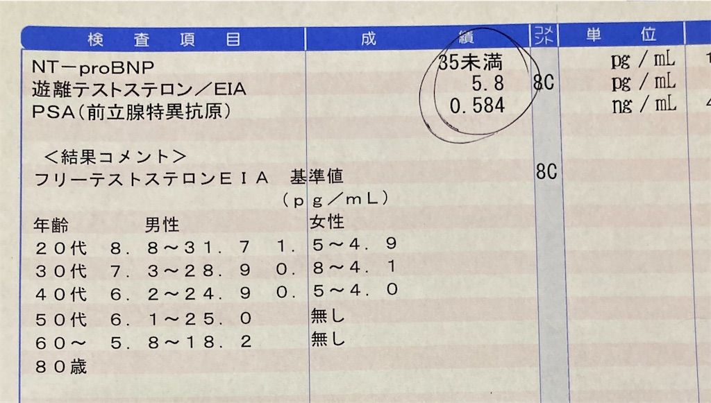 f:id:kus110:20231018171458j:image