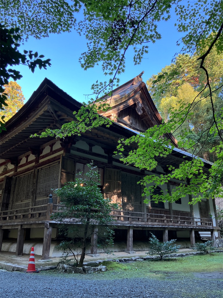 f:id:kus110:20241109215246j:image f:id:kus110:20241109215246j:image