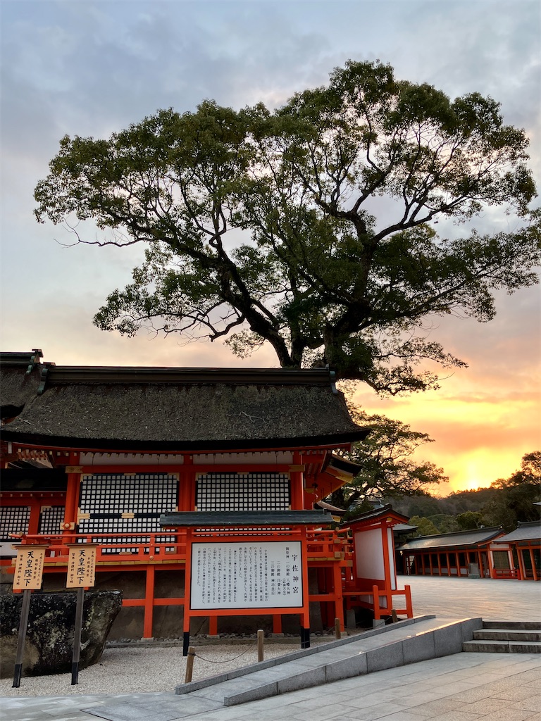 f:id:kus110:20250220181035j:image