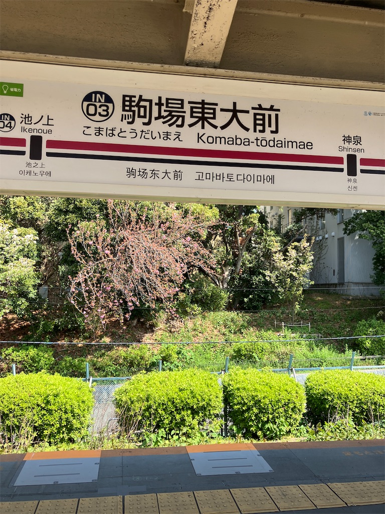 f:id:kus110:20250412184048j:image