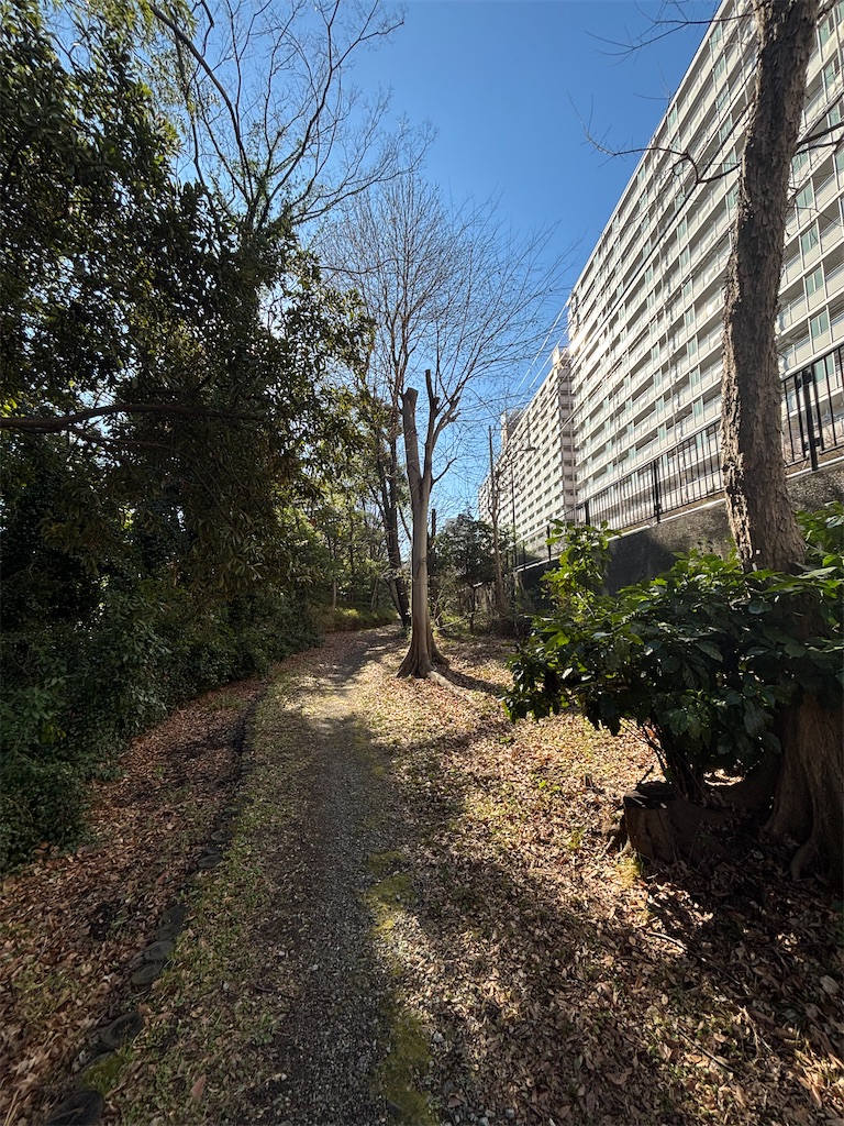 f:id:kus110:20260110153356j:image