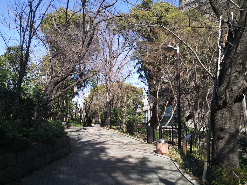 f:id:kus110:20260307222612j:image