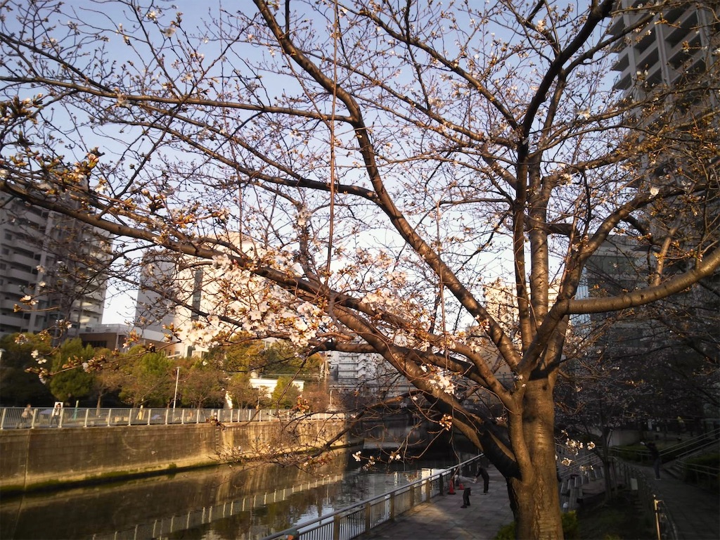 f:id:kus110:20260327135840j:image