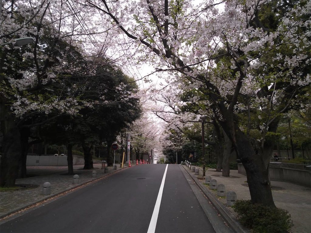 f:id:kus110:20260404201423j:image