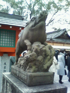 f:id:kusaboshi:20070103231444j:image