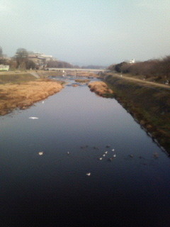 f:id:kusaboshi:20070129100254j:image