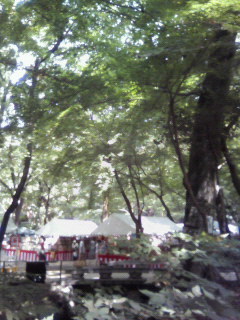 f:id:kusaboshi:20070815142211j:image