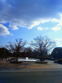 f:id:kusaboshi:20080228154700j:image