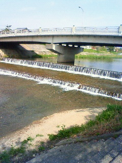 f:id:kusaboshi:20080406101900j:image