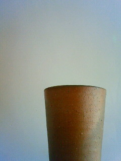 f:id:kusaboshi:20090128112100j:image