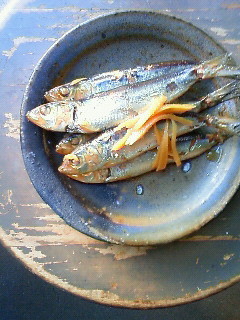 f:id:kusaboshi:20090714170700j:image