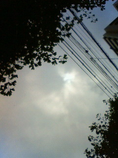 f:id:kusaboshi:20090722111900j:image