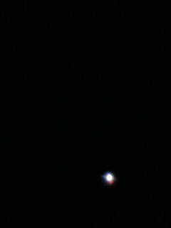 f:id:kusaboshi:20091201193000j:image