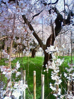 f:id:kusaboshi:20100326103500j:image f:id:kusaboshi:20100326103500j:image