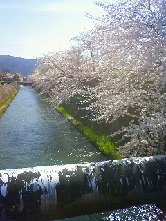 f:id:kusaboshi:20100404095000j:image