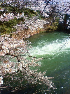f:id:kusaboshi:20100404100000j:image