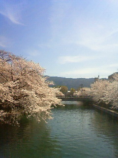 f:id:kusaboshi:20100404100300j:image