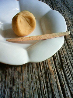 f:id:kusaboshi:20101022101700j:image