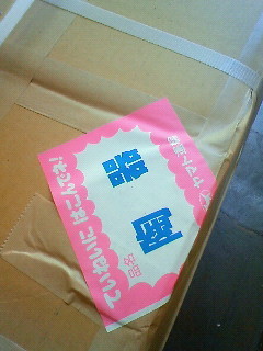 f:id:kusaboshi:20101119094100j:image
