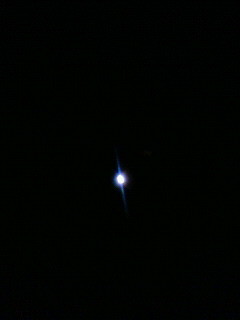 f:id:kusaboshi:20101120221800j:image