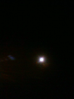f:id:kusaboshi:20110319230600j:image