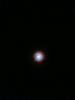 f:id:kusaboshi:20110319233500j:image