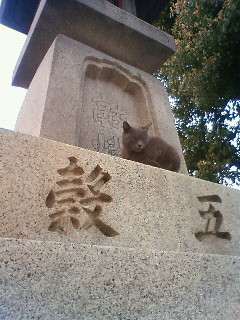 f:id:kusaboshi:20110331180600j:image