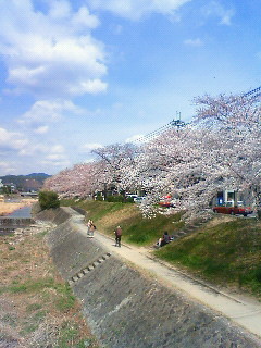 f:id:kusaboshi:20110407123100j:image