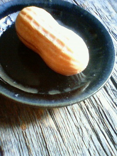 f:id:kusaboshi:20120328094400j:image