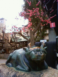 f:id:kusaboshi:20120329175600j:image