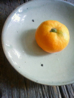 f:id:kusaboshi:20120724115700j:image