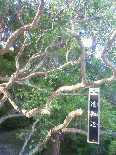 f:id:kusaboshi:20120726163100j:image f:id:kusaboshi:20120726163100j:image